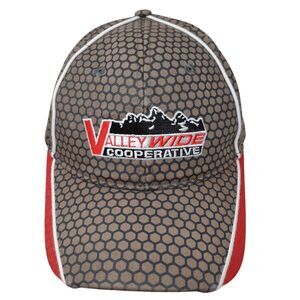 Valley Wide Cooperative Fitted Hat Multi One Size Geo Embroidered Vie